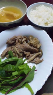 �x�r�[���[�t