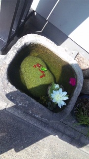 �J���y�U�����z