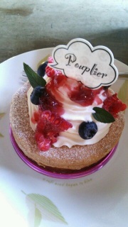 �h�V�̓��Q